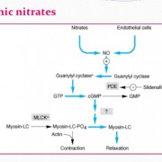 Nitrates and viagra