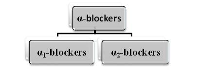 Alpha Blockers Classification