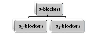 Viagra beta blockers
