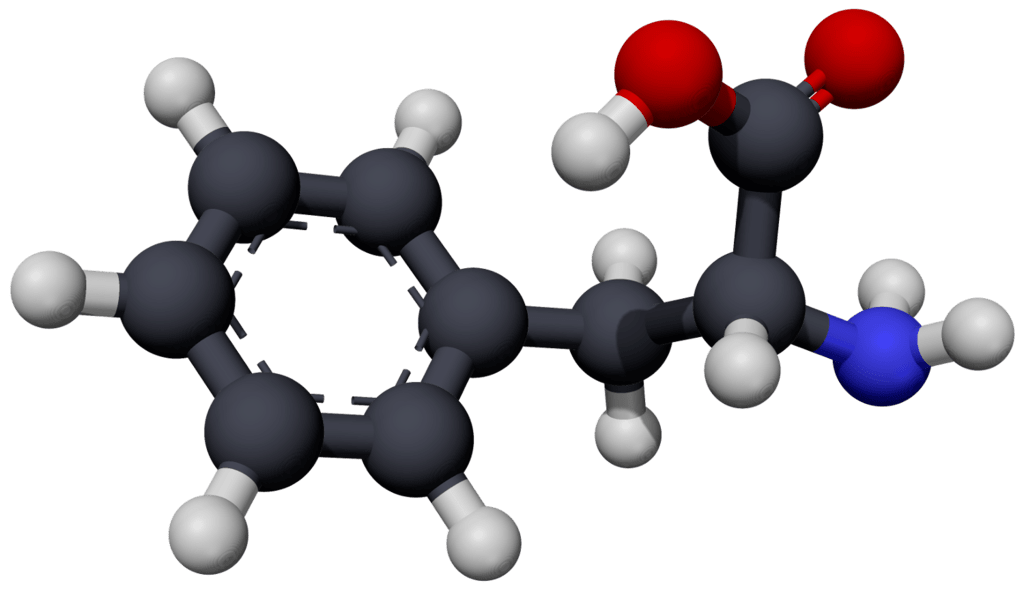 L-PHENYLALANINE