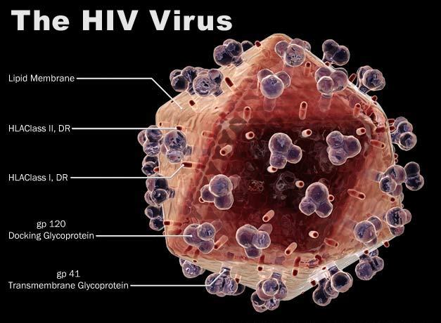 HIV/AIDS