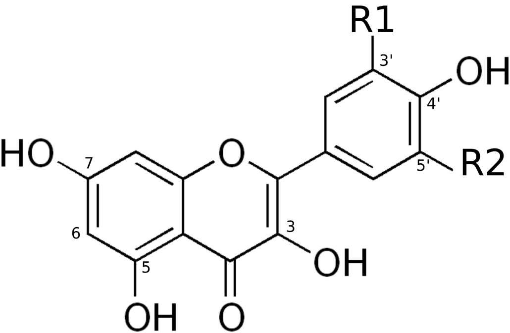 Flavonol