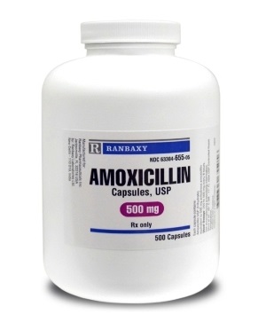 Ampicillin Indications to Use