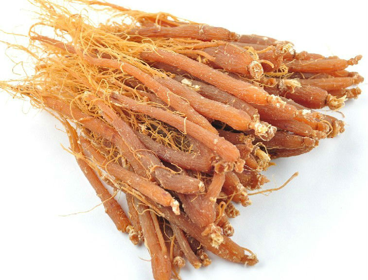 Korean red ginseng